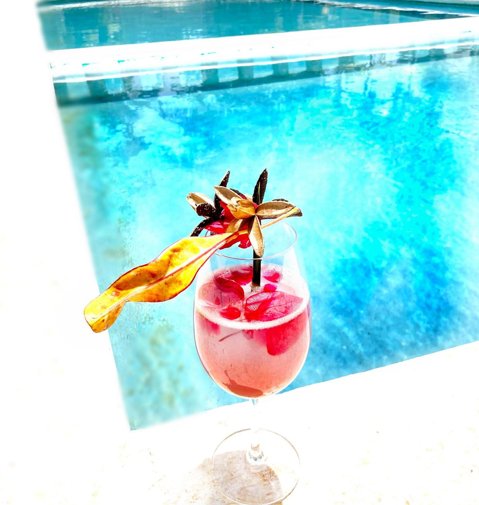 Green Paradise Leona Vicario エクステリア 写真