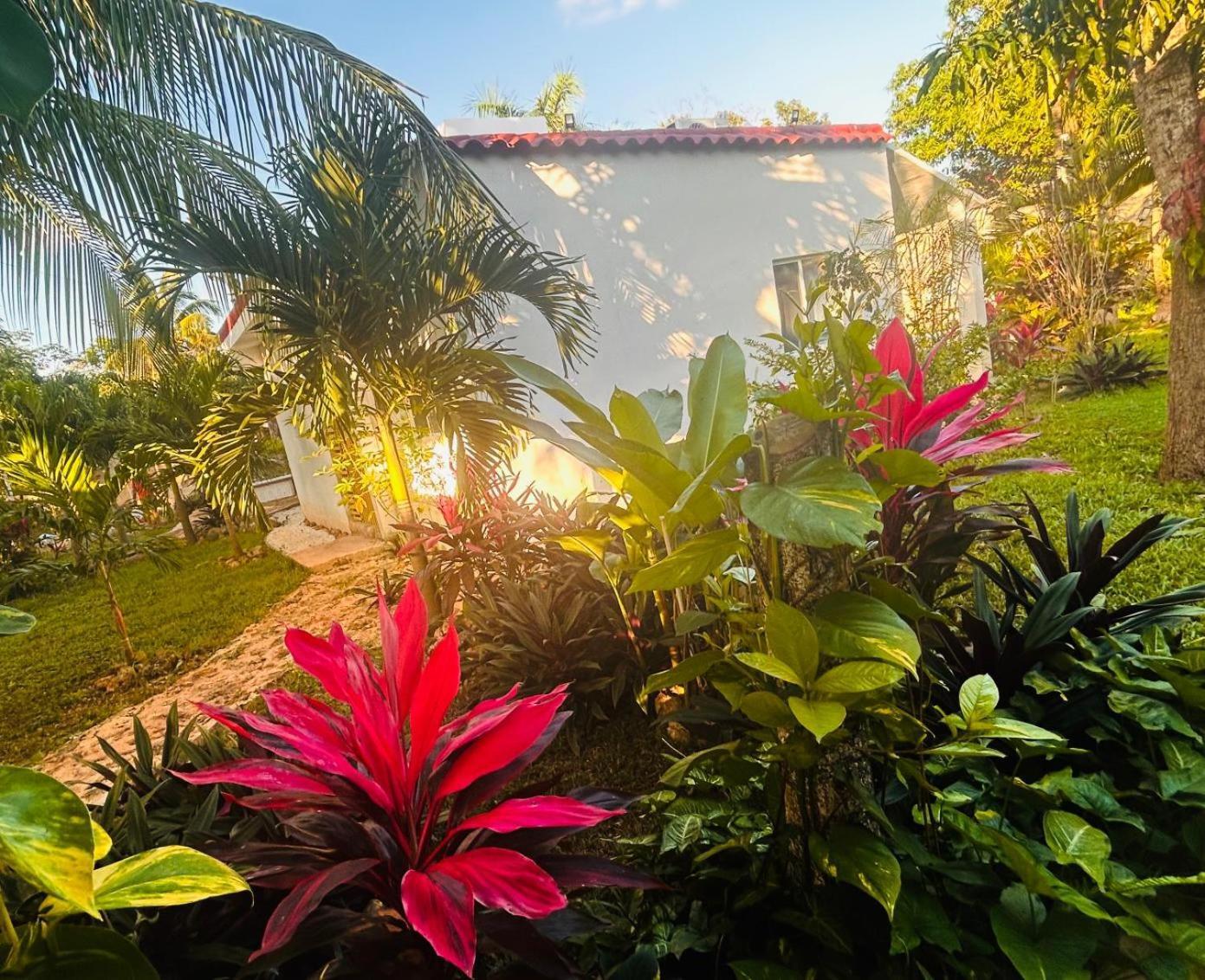 Green Paradise Leona Vicario エクステリア 写真